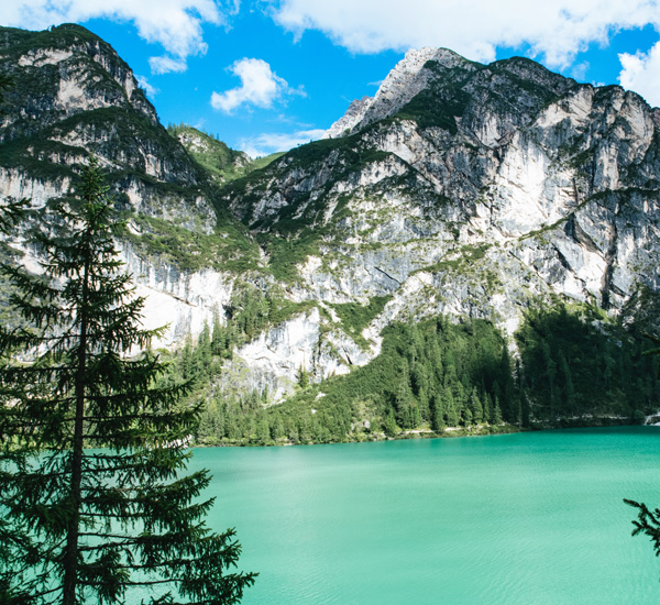 Rohingya insurgent ceasefire ends in Myanmar with no report of attacks